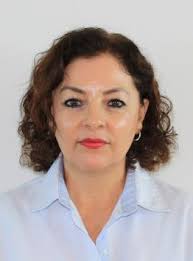 DRA. MARGARITA CASTILLO TÉLLEZ Profesora e investigadora de tiempo completo  titular "B" Doctora en Ingeniería por el