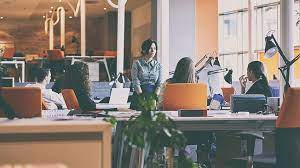 When faced with a decision between two candidates for one position, possessing a degree could very well be the deciding factor. How To Get A Tech Career Without A Tech Degree
