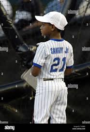 Sammy Sosa Beanie Baby Worth Online Shopping