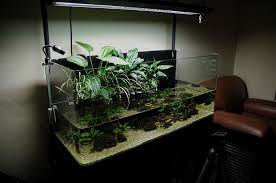 75g Riparium Thanks Riparium Supply The Planted Tank Forum Planted Aquarium Freshwater Aquarium Aquascape