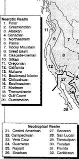 Biogeographic Provinces of North America.