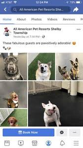 We did not find results for: All American Pet Resort Shelby Township 6240 26 Mile Rd Shelby Township Mi Pet Grooming Mapquest