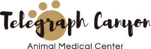 Best pet clinic in southbay & maybe all of san diego. Homepage Telegraph Canyon Animal Medical Center
