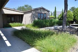 Check spelling or type a new query. Landscaping With Ornamental Grass Ornamental Grass Landscape Ornamental Grasses Backyard Grass Landscaping