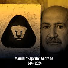 Diego Stark (@DIEGOSTARK_)