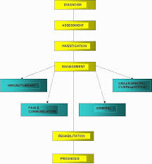 Jul 14, 2021 · gupta a, taly ab, srivastava a, murali t. Care Pathway For Guillain Barre Syndrome