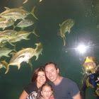 Awesome Drape Backdrop For Your Gala Event Lighting Social Events Cool Lighting