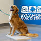 Dog Training Workshop Series