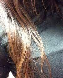 Best hair salon near parsippany. Bindiya Beauty Salon 1555 Us Highway 46 Parsippany Nj Hair Salons Mapquest