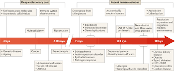 Mar 27, 2021 · define the purpose of the curriculum. The Influence Of Evolutionary History On Human Health And Disease Nature Reviews Genetics