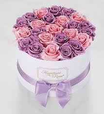 Maybe you would like to learn more about one of these? Magnificent Roses Long Lasting Preserved Roses 1800flowers Roses Luxury Preserved Roses Flower Box Gift