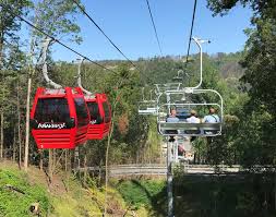 For the elderly or disabled. 4 Great Reasons To Visit Gatlinburg Tn In The Fall