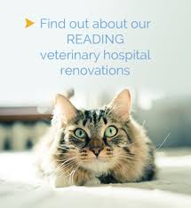 Maybe you would like to learn more about one of these? Humane Veterinary Hospitals Of America For Pets Not For Profit