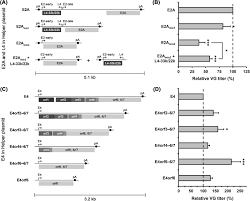 Image result for Black 1998 AAV