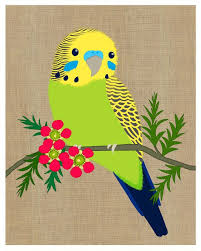 Green Budgie 8 X 10 Print Australian Native Bird With Native Flowers Kids Print Children S Art By Gillianmarypictures Parrots Art Parakeet Art Bird Drawings