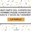 Uno de los juegos más ingeniosos y divertidos para disfrutar en familia y con los amigos son las adivinanzas. Https Encrypted Tbn0 Gstatic Com Images Q Tbn And9gcrqujeexmwbc6oflrjvqejfuvmrnejsfuds2ab0sxz5wcw0l5qs Usqp Cau