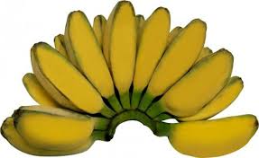 We did not find results for: Diet Anti Bosen Dengan 10 Resep Pisang Untuk Diet Yang Tidak Menyiksa 2020