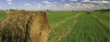 This is a chemical transformation. International Raw Materials Ltd Linkedin