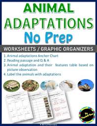 ● corresponding specimen kit ● gloves ● investigation handouts ●. Animal Adaptations Anchor Chart Features Table Labeling Reading Passage Q A