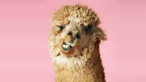 But clifford kept on smiling. How To Speak Up In A Meeting And When To Hold Back