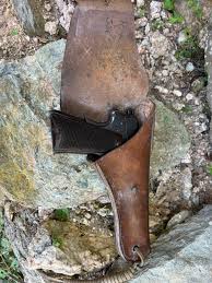 Polish Eagle Radom 1939 Vis 35