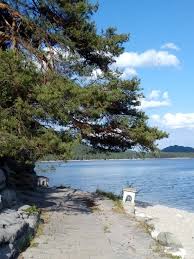 Machovo Jezero Jarmilina Skala Czech Republic Turistika