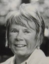 Three contested Otsego County Board of Commissioners races