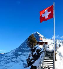 pin on suisse