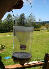How To Make A Homemade Fly Trap With A Regular Plastic Bottle Clean Eating With Kids Homemade Fly Traps Diy Fly Trap Fly Traps