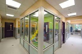 Humane Society Of Boulder Valley Gets Catified Adoption Center Redesigned To Delight Shelter Cats And Visitors Hauspant Adoption Center Cat Shelter Cat Room