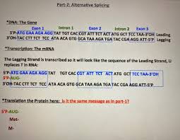 Maybe you would like to learn more about one of these? Part 1 Assignment 3 Transcribe And Translate Chegg Com