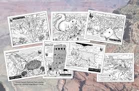 An interesting fact accompanies each page. Carefree Artist Some Grand Coloring Pages