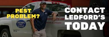 Here are a few ways to prevent pests from infesting your home. 15 Ways To Prevent Pest Infestations Ledford S Pest Control