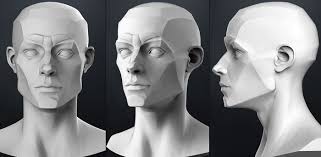 Planes Of The Head Male 3d Model Obj Planes Of The Face Anatomy Drawing Guy Drawing