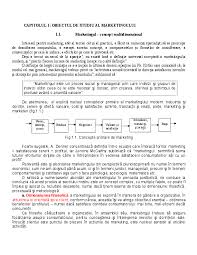 Cota de piață poate fi calculată ca valoare sau ca volum. Doc Capitolul 1 Obiectul De Studiu Al Marketingului Mery Mia Academia Edu
