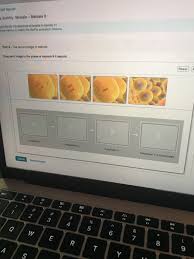 Bioflix Activity Mitosis Events Of Mitosis Answers Solved Cell Reprod You Identily The Sequence Of Events In Chegg Com