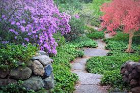 Guide logiciel jardin gratuit pour aménager son jardin. Dessiner Son Futur Jardin Jardinage Fm Guide Du Jardinage