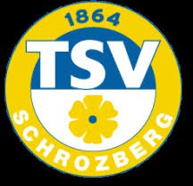 Die nationalen ligen sind die basis des europäischen profifußballs und sollten aus. Tsv Schrozberg Vfb Stuttgart 15 05