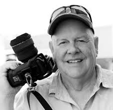 Wayne Wilton Art for Sale