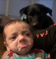 Fundraiser by Lilli Pritchard : Justice for Luca: Support Funeral Costs