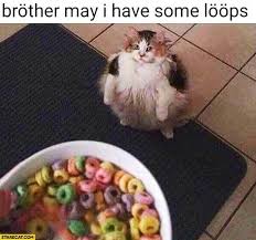 Cats Wanting Fruit Loops Is Our New Favorite Meme Funny Pictures For Kids Funny Relationship Memes Funny Jokes For Kids