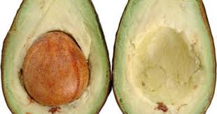 Avocado Progesterone Growing An Avocado Tree Avocado Health Benefits Grow Avocado