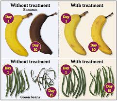 What if you could turn your passion for food into a reliable source of income? Revolutionary New Edible Food Coating Will Stop Bananas Going Mouldy And Veg Shrivelling Up Express Digest