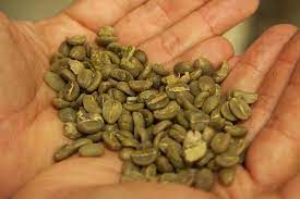 How Long Do Green Coffee Beans Last Coffee Affection