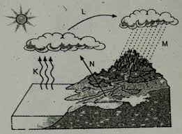 Ada juga yang mengungkapkan bahwa evaporasi merupakan salah satu komponen yang terdapat dalam siklus hidrologi, yang diartikan sebagai peristiwa penguapan air. 1 Perhatikan Gambar Berikut Tahapan Siklus Air Yang Ditunjukkan Oleh Huruf K Dan M Yaitu A Brainly Co Id