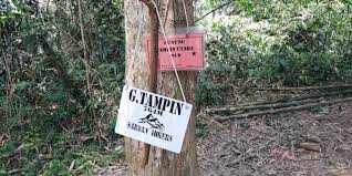 Tampin merupakan sebuah bandar yang terletak di antara sempadan negeri sembilan dan negeri melaka. R U N N I N G Gunung Tampin Tampin Negeri Sembilan