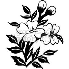 Find high quality lotus flower clipart black white, all png clipart images with transparent backgroud can be download for free! Two Black And White Flowers Clipart Commercial Use Gif Jpg Png Eps Svg Pdf Clipart 380106 Graphics Factory