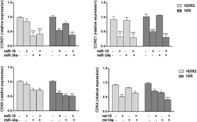 We did not find results for: A Comparison Between The Effects Of Over Expression Of Mirna 16 And Mirna 34a On Cell Cycle Progression Of Mesothelioma Cell Lines And On Their Cisplatin Sensitivity Sciencedirect