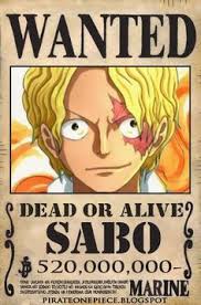 Poster buronan franky, menggambarkan franky shogun. 92 One Piece I Love This Show Ideas One Piece One Piece Anime One Piece Manga