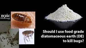 The goal of using diatomaceous earth for flea control is to minimize fleas in your pet's. Is Food Grade Diatomaceous Earth Okay For Pest Control